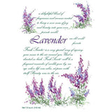 Fresh Scents Scented Sachet Set of 6 - Lavender at FreeShippingAllOrders.com - Fresh Scents - Sachets