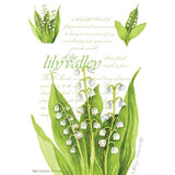 Fresh Scents Scented Sachet Set of 6 - Lily of the Valley at FreeShippingAllOrders.com - Fresh Scents - Sachets