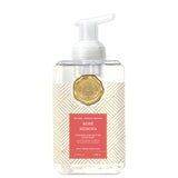 Michel Design Works Foaming Shea Butter Hand Soap 17.8 Oz. - Rosé Mimosa