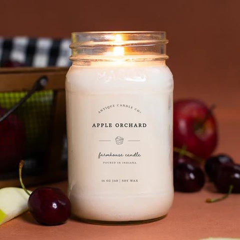 Antique Candle Co. Soy Candle 16 Oz. - Apple Orchard - FreeShippingAllOrders.com