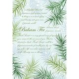 Fresh Scents Scented Sachet Set of 6 - Balsam Fir - FreeShippingAllOrders.com