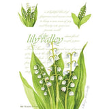 Fresh Scents Scented Sachet Set of 6 - Lily of the Valley - FreeShippingAllOrders.com