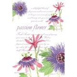 Fresh Scents Scented Sachet Set of 6 - Passion Flower - FreeShippingAllOrders.com