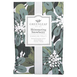 Greenleaf Large Scented Envelope Sachet Pack of 6 - Shimmering Snowberry - FreeShippingAllOrders.com