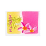 Maui Soap Company Bar Soap 6 oz. with Kukui & Coconut Oil - Plumeria - FreeShippingAllOrders.com