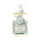 Michel Design Works Foaming Shea Butter Hand Soap 17.8 Oz. - Evergreen - FreeShippingAllOrders.com