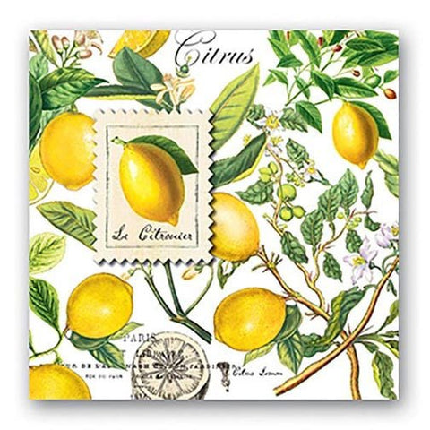 Michel Design Works Paper Luncheon Napkins - Lemon Basil - FreeShippingAllOrders.com