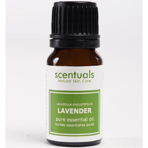 Scentuals 100% Pure Essential Oil 10 ml - Lavender - FreeShippingAllOrders.com