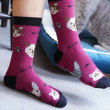 Socks n Socks Women's Crew Socks - Cute Cats - FreeShippingAllOrders.com