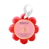 Spongelle Wild Flower Bath Sponge Grapefruit Cassis - 3 Oz. - FreeShippingAllOrders.com
