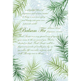 Fresh Scents Scented Sachet Set of 6 - Balsam Fir at FreeShippingAllOrders.com - Fresh Scents - Sachets