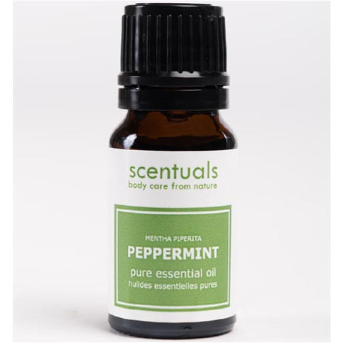 Scentuals 100% Pure Essential Oil 10 ml - Peppermint at FreeShippingAllOrders.com - Scentuals - Home Fragrance Oil