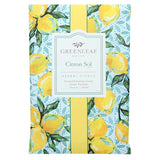 Greenleaf Large Scented Envelope Sachet Pack of 6 - Citron Sol at FreeShippingAllOrders.com - Greenleaf Gifts - Sachets